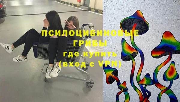 mdpv Магас
