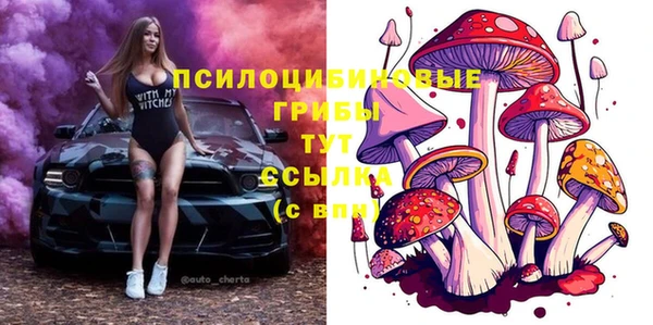 mdpv Магас