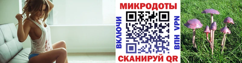 Псилоцибиновые грибы Psilocybe  купить наркотики цена  Железноводск 