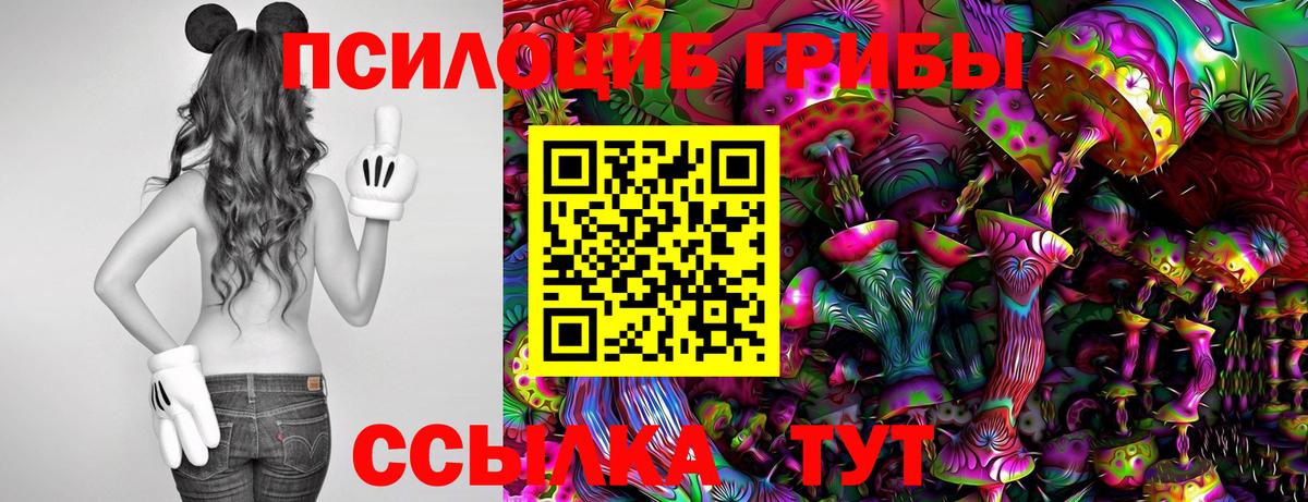 Галлюциногенные грибы ЛСД Железноводск