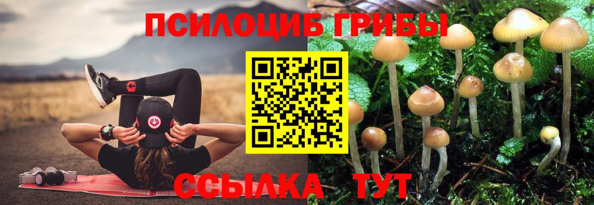 наркота  Галлюциногенные грибы Cubensis  Вход с VPN  Галлюциногенные грибы Magic Shrooms  Железноводск 
