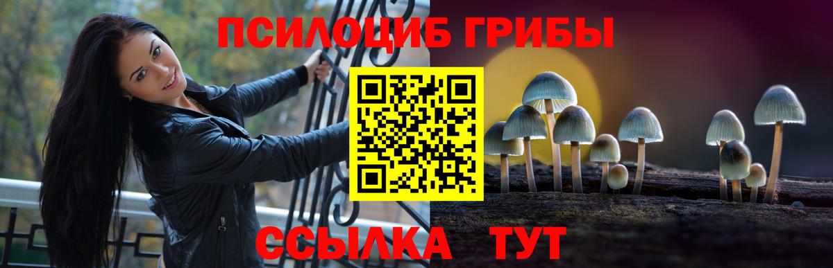 Галлюциногенные грибы GOLDEN TEACHER Железноводск