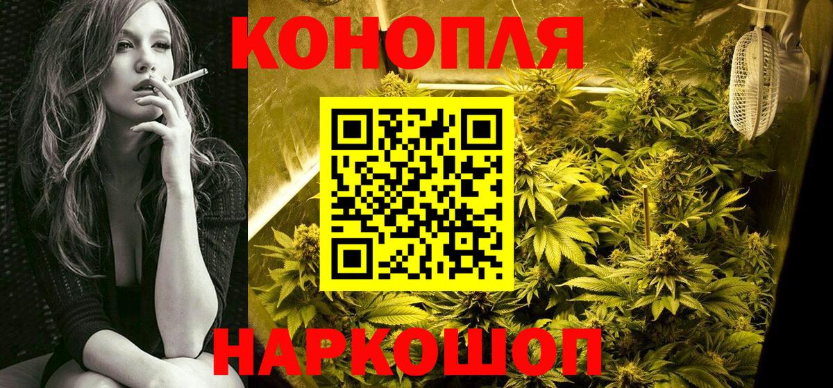Бошки марихуана конопля  Марихуана AK-47  Железноводск  Шишки марихуана план  Конопля Ganja  Вход с VPN 